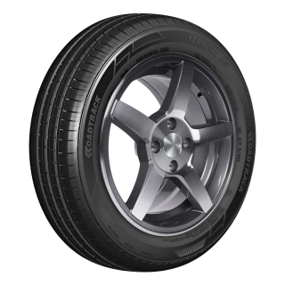 195/65R15 Roadtrack TERRENA AS 91V