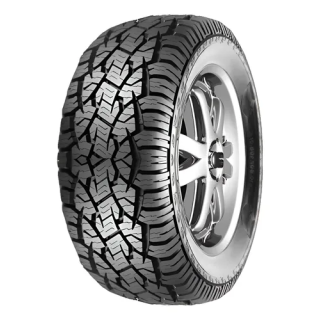 205/60R16 ROADWING RW782