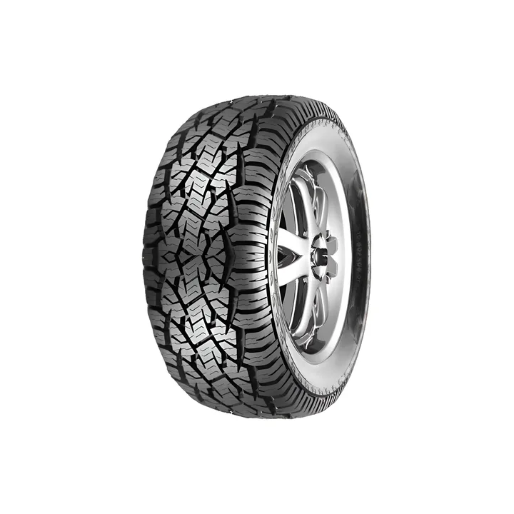 245/65R17 ROADWING 107T RW-AT772