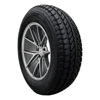195/65R15 AMERICA SPECTRUM 89S